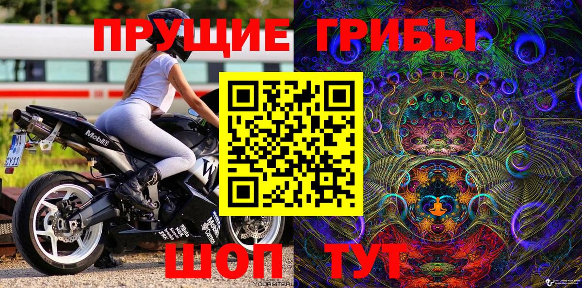 Галлюциногенные грибы GOLDEN TEACHER Апатиты